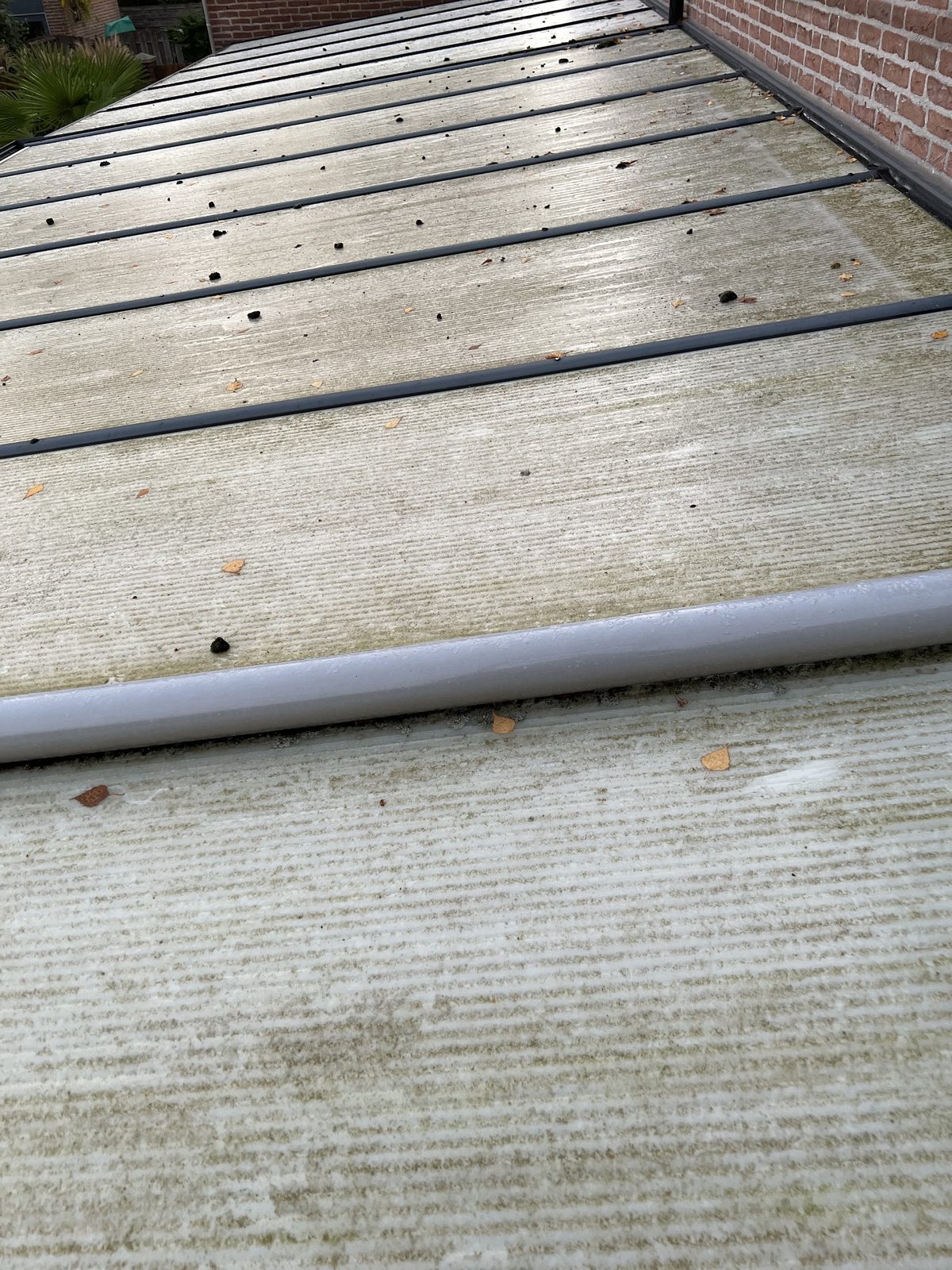 Een veranda-dak van polycarbonaat vol groene algen, blad en vuil
